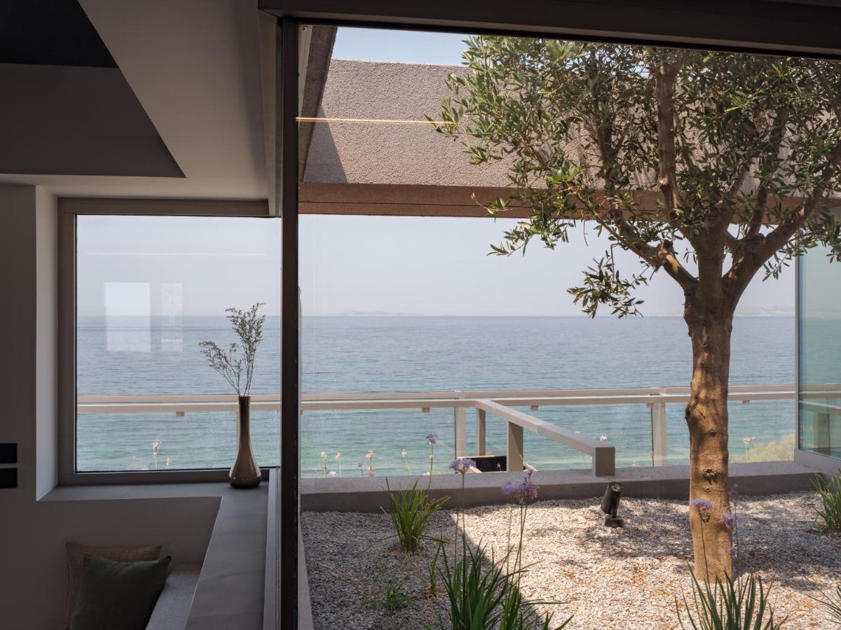 3 Olive Trees *